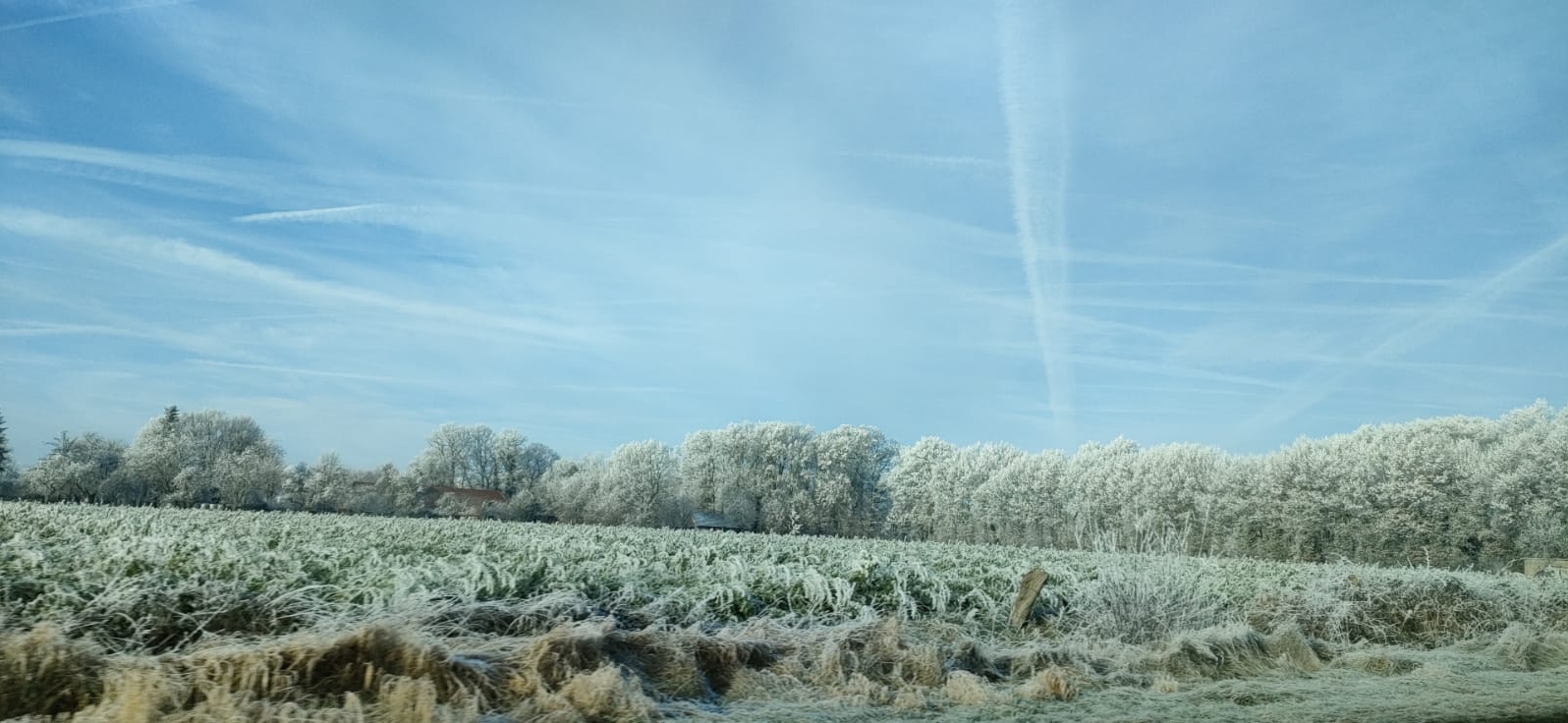 Winterlandschaft